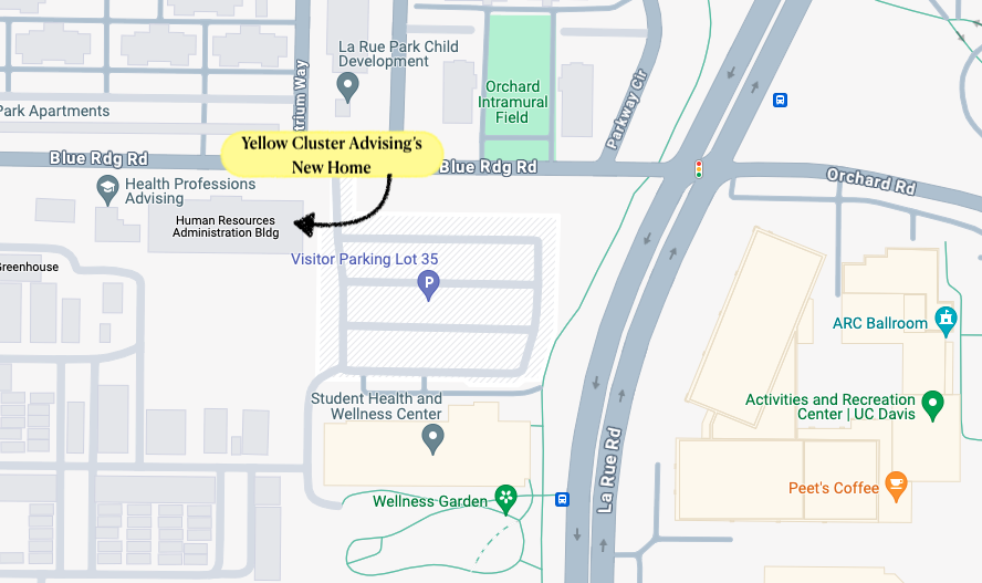 Google Maps screenshot showing Yellow Cluster Advising's new home