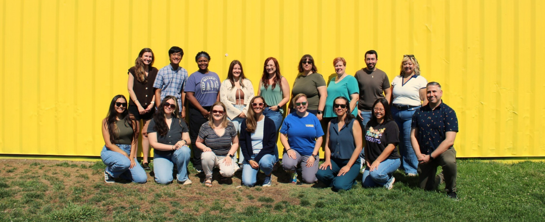 Yellow Cluster Picture