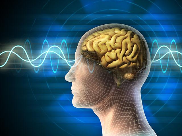 head with brain